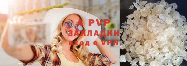 индика Ладушкин