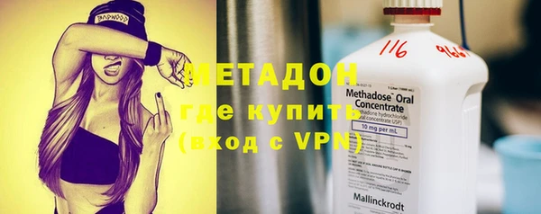 индика Ладушкин