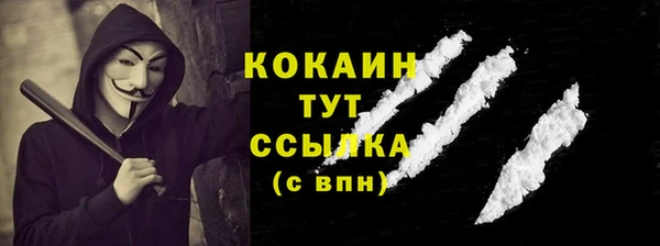 индика Ладушкин