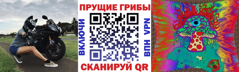 Псилоцибиновые грибы Magic Shrooms  MEGA tor  Заозёрный 